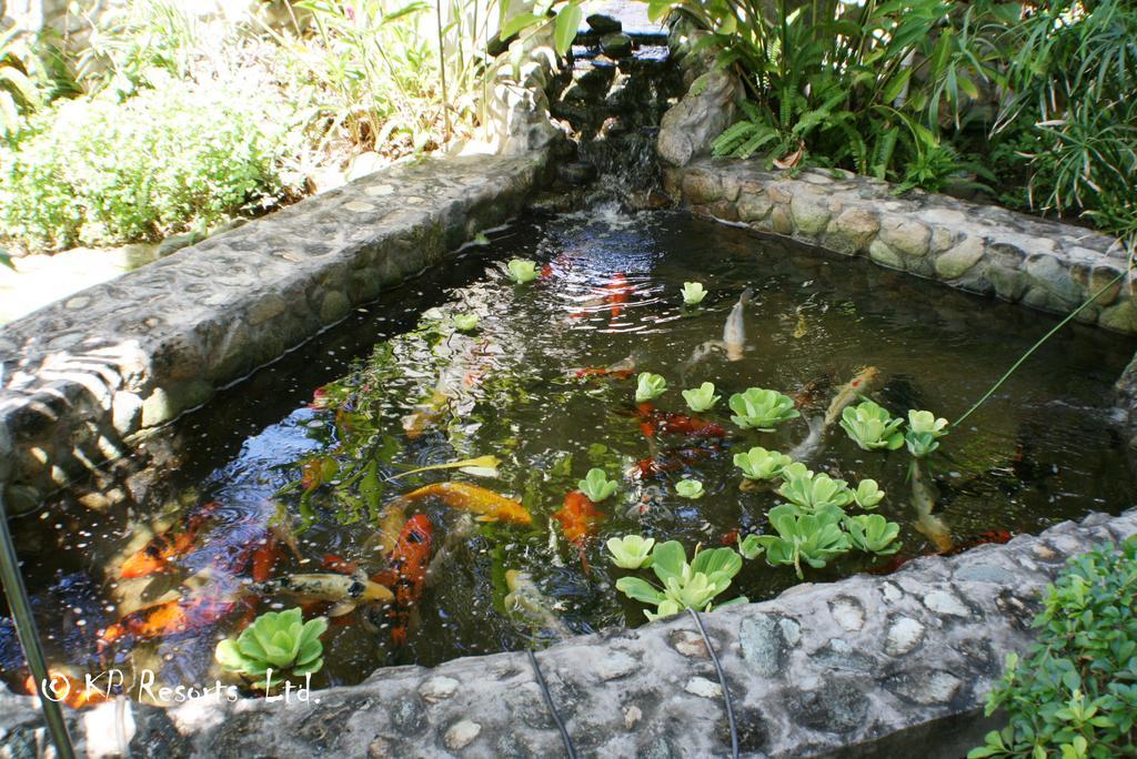 Enchanted Waters Tobago Buccoo Esterno foto